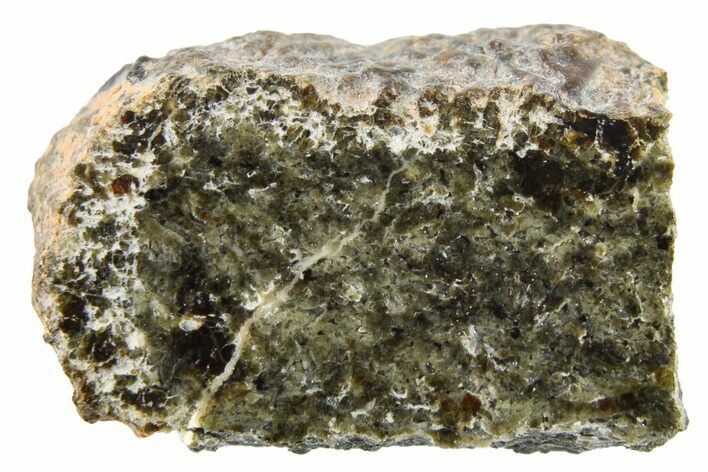 Polished Martian Meteorite Slice ( g) - NWA #262787